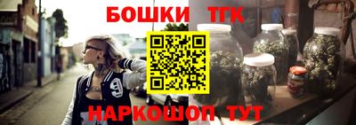 индика Заволжье
