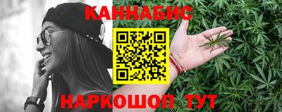 индика Заволжье
