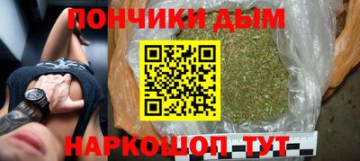 индика Заволжье