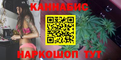 индика Жуковский