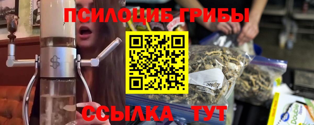 Галлюциногенные грибы MAGIC MUSHROOMS  Вход с VPN  Галлюциногенные грибы прущие грибы  Заволжье 