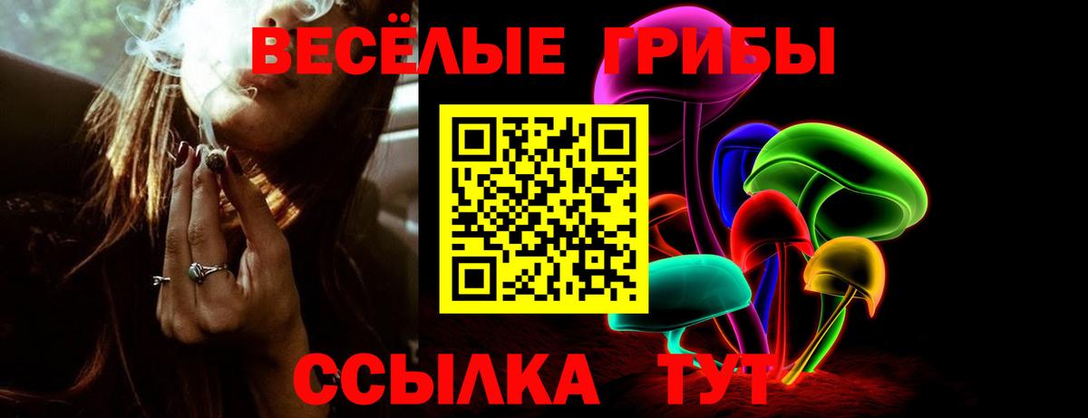 Псилоцибиновые грибы Cubensis Заволжье